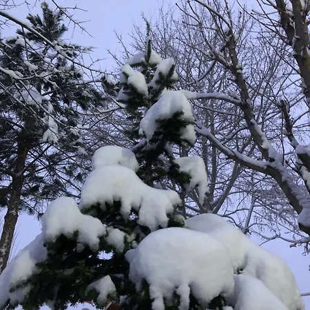 Bujtina Gashi Pensjonat 3*