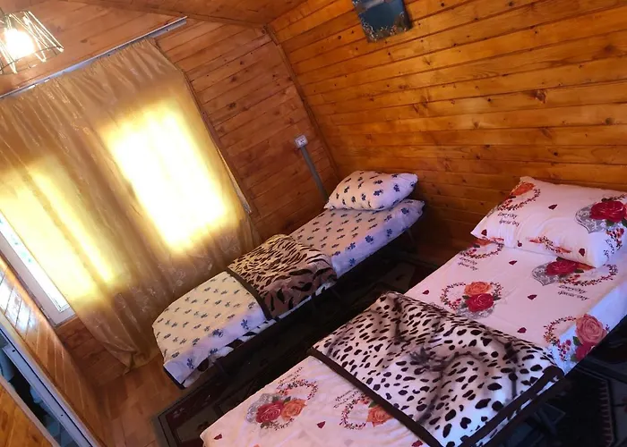 Bujtina Gashi 3*