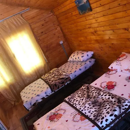Bujtina Gashi 3*
