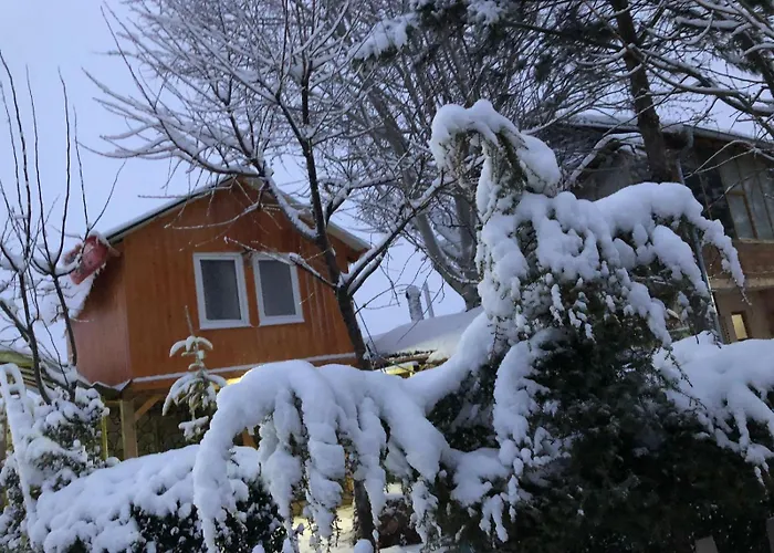 Bujtina Gashi 3* Kukes