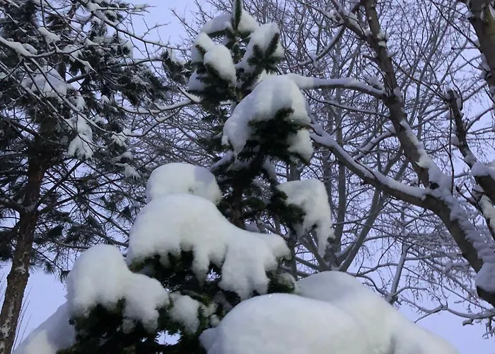 Bujtina Gashi 招待所 3*